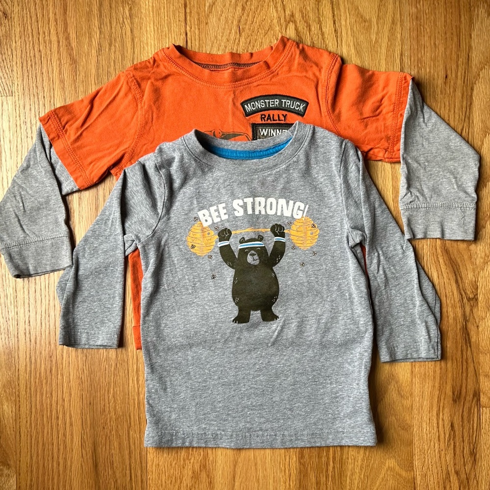 Bundle of 2 cotton long sleeve t shirts. Both lightly worn, no stains or holes.